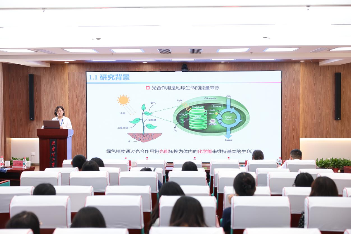 图片 24.png